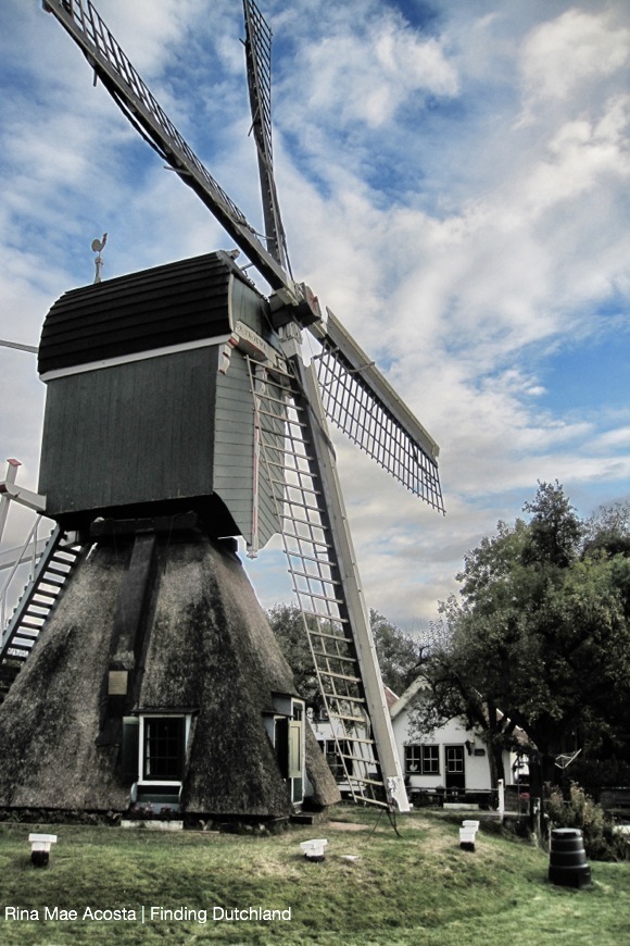 windmill